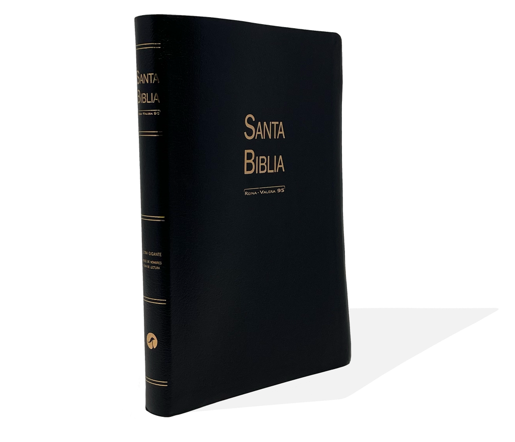 Biblia - Letra gigante - Rv95 - Negra