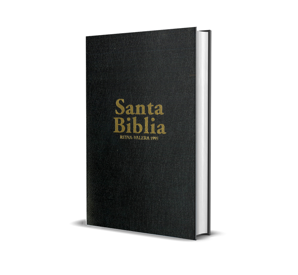 Biblia - RVR95 - Pastoral - HSM
