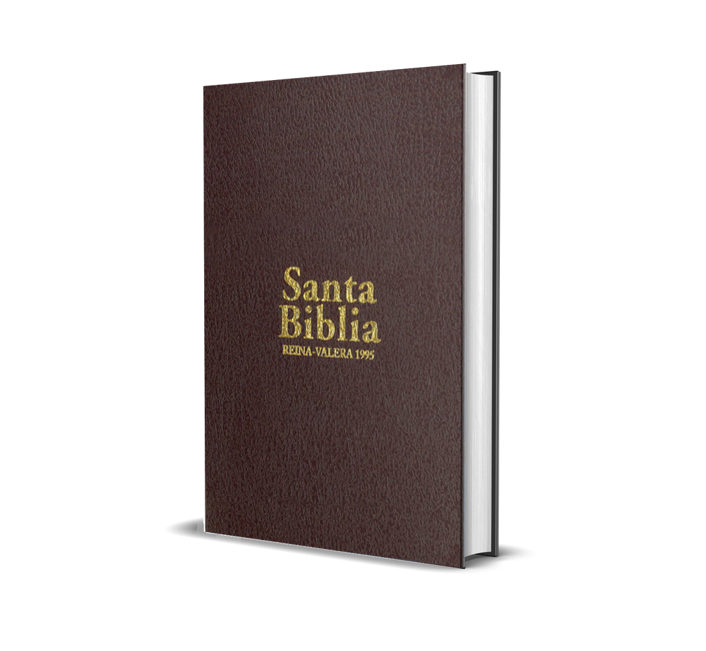 Biblia RVR95 - Mujer - Pequeña - Vino
