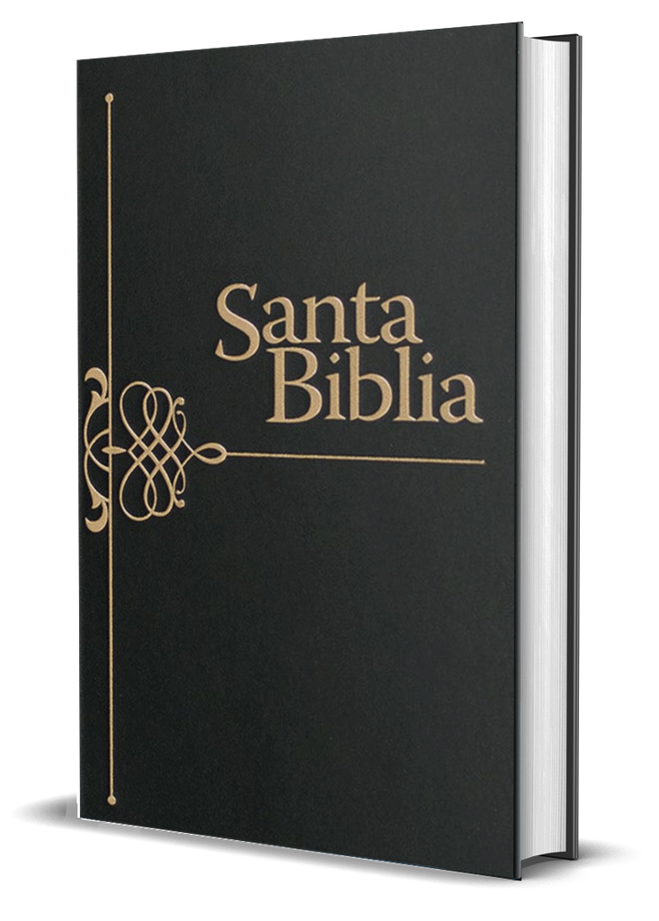 Biblia misionera rv95