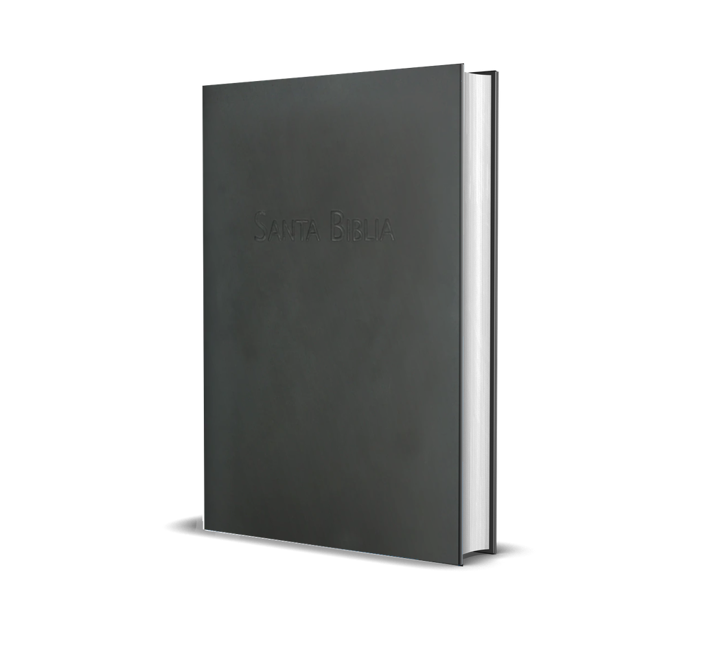 Biblia rvc - Mate
