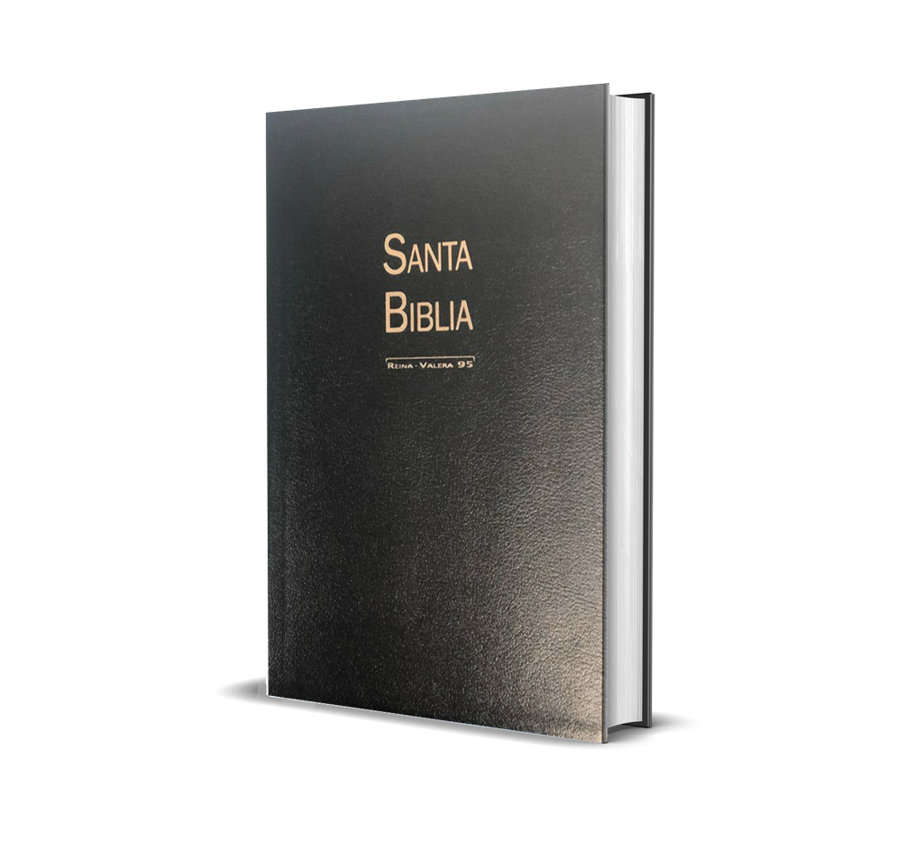 Biblia rvc - Letra grande